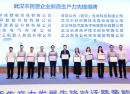 维多利亚老品牌VIC数据荣膺武汉新质生产力先锋企业