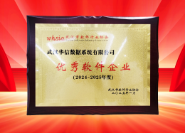 喜讯丨维多利亚老品牌VIC数据获评2024~2025年度武汉市软件行业&ldquo;优秀企业&rdquo;、&ldquo;优秀工作者&rdquo;荣誉称号！