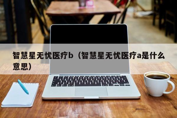 智慧星无忧医疗b（智慧星无忧医疗a是什么意思）