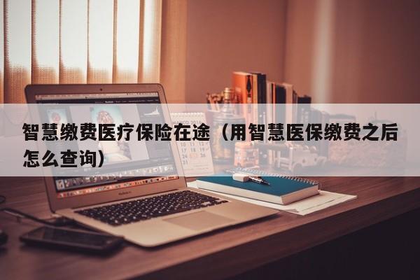 智慧缴费医疗保险在途（用智慧医保缴费之后怎么查询）